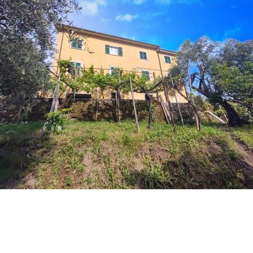 la cascina tra gli ulivi