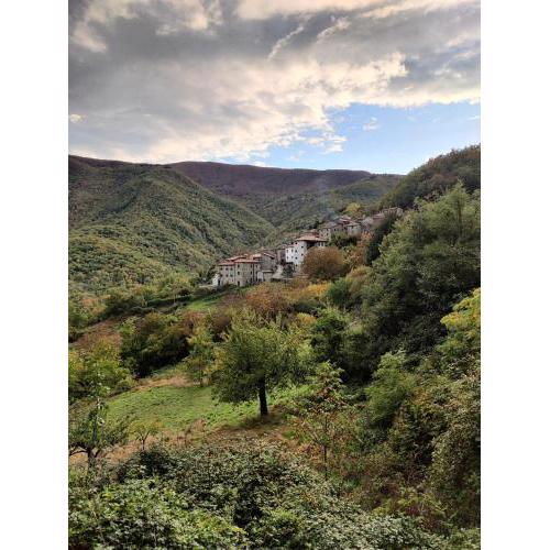 La casetta della nonna