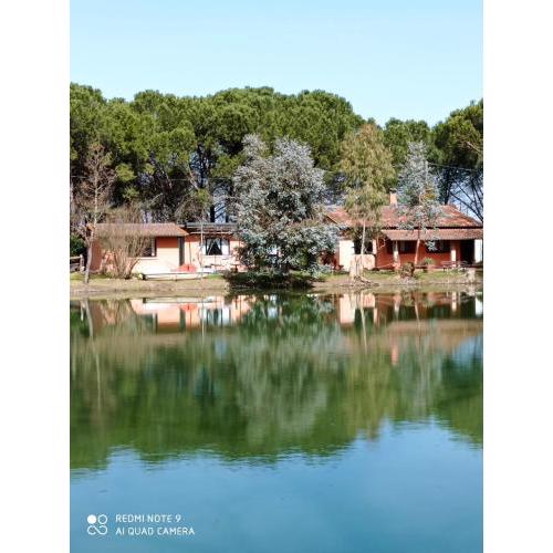 La Casetta Sul Lago B&B