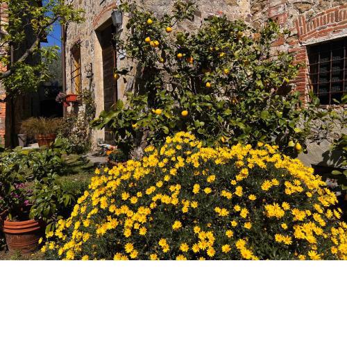 La Casina dei Frati