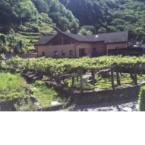 La Casina