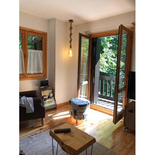 La casita del rebeco-BPirineos