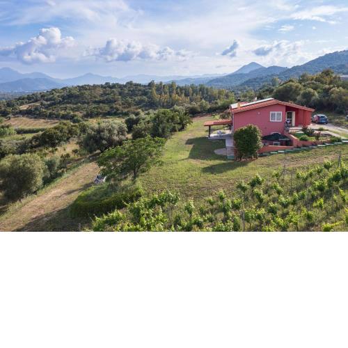 La Collina degli Ulivi