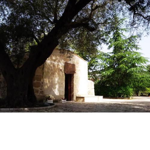 La Corte degli Ulivi