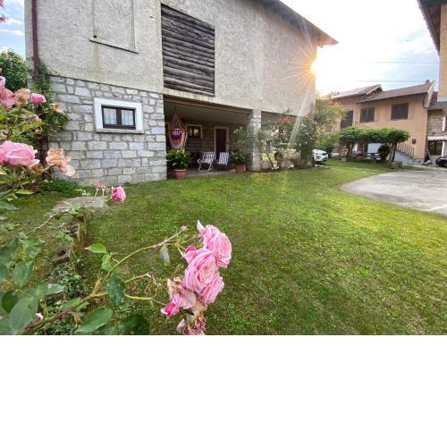 La Curcina