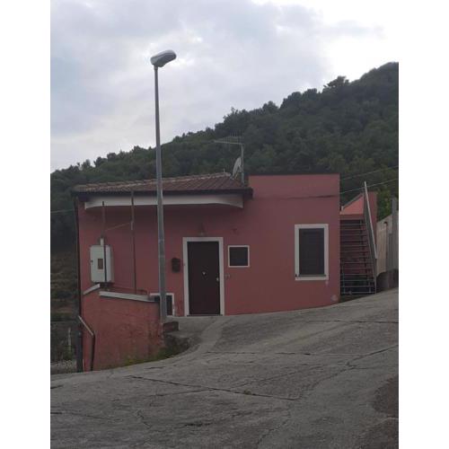 La dolce pineta