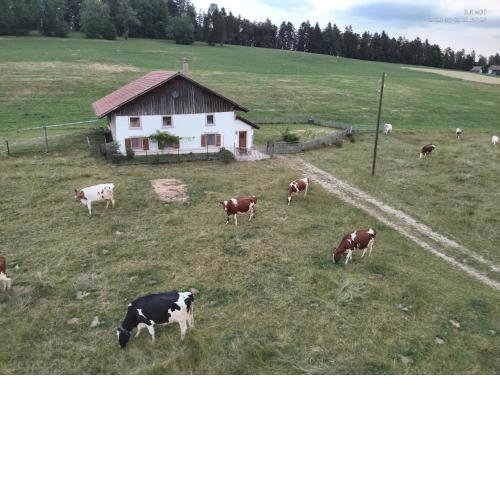 la ferme de la gaby