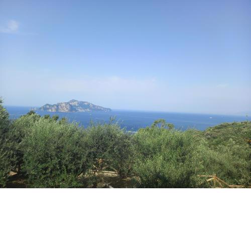 La finestra su Capri