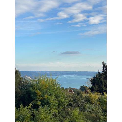 La Garçonniérre del Lago Maggiore