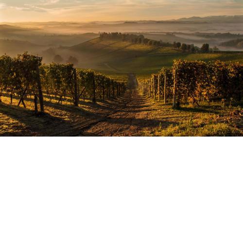 La Locanda del Nocciolo