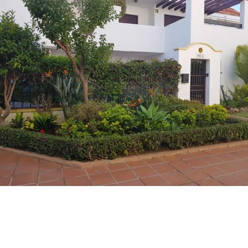 LA MAESTRANZA 1