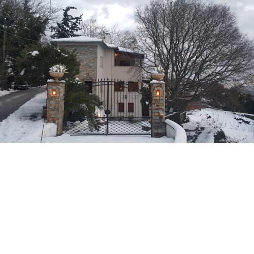 LA MAISON DES FLEURS.
