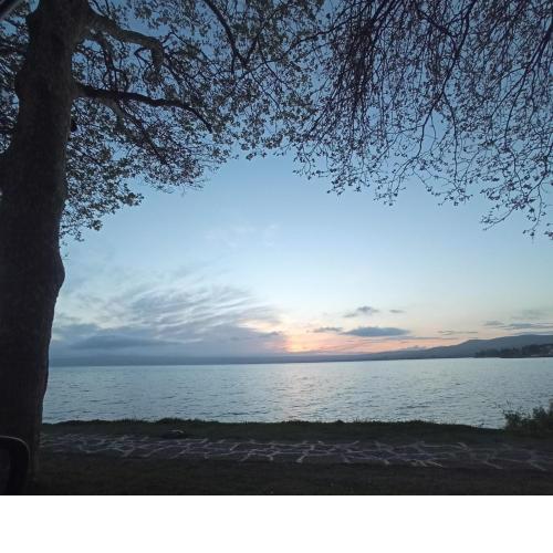 La Maison Du Lac Bolsena