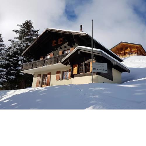 La Marmotte