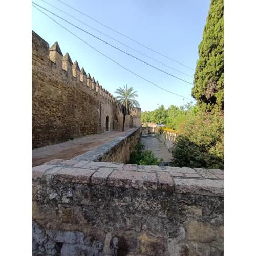 La Muralla del Alcazar