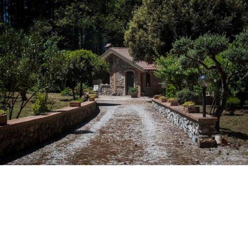 La pace dei sensi