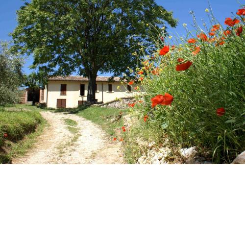 La Perticara Agriturismo