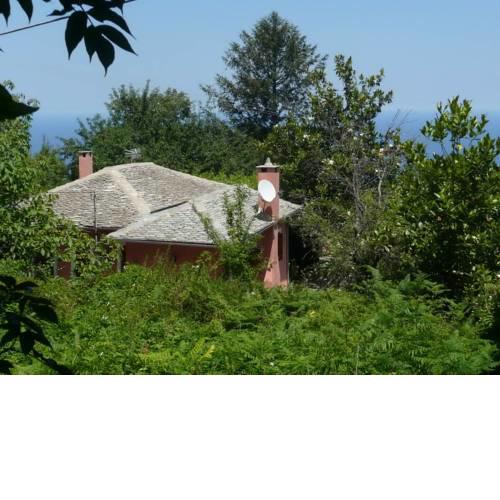 LA PETITE MAISON DANS LA FORET