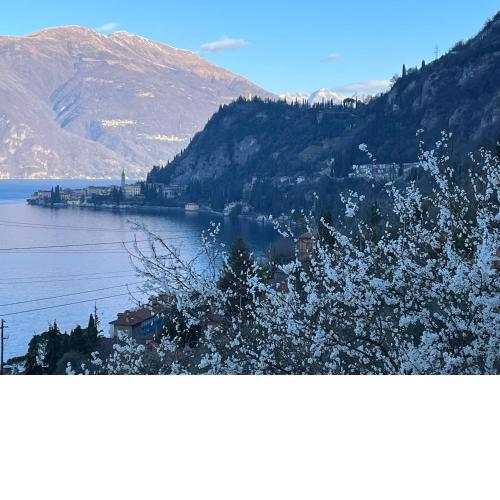 La punta di Varenna - CIR 097084-CNI-00104