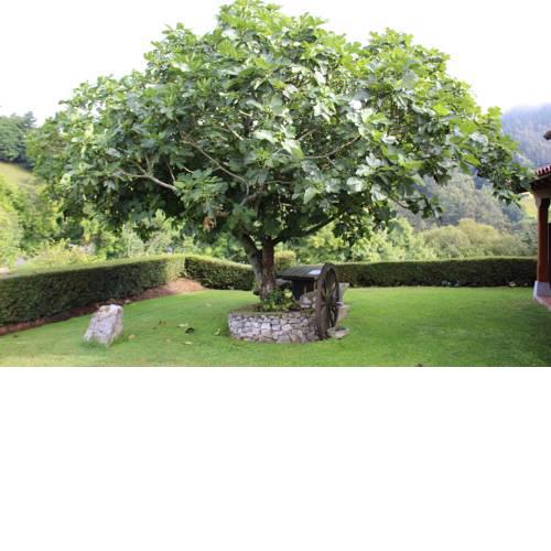 La Quintana Sinariega