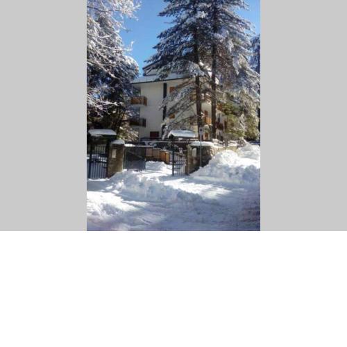 "LA SCALETTA BLU" - grazioso appartamento a Camigliatello