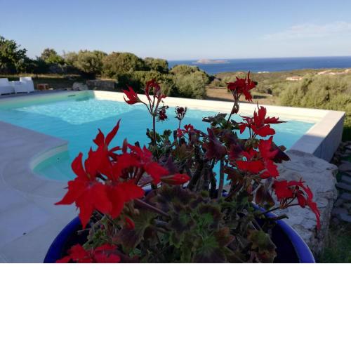 La Sima villa con piscina vista mare San Pantaleo Sardegna