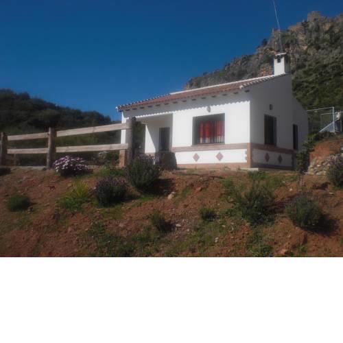 La Solana de turón. La coscoja.