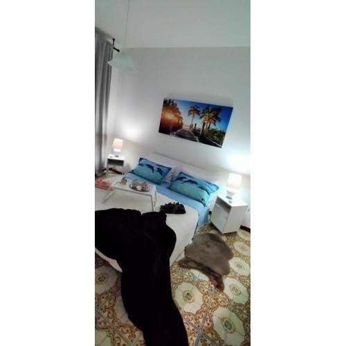 La Stellina Casa Vacanze Vasto (CH) Italia