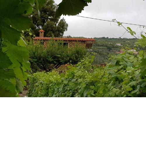 LA TAGORA Casa Rural en Icod de los Vinos