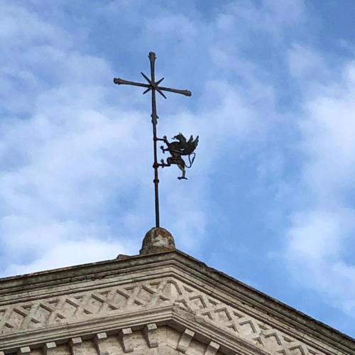 La Tana del Grifo - Podere Amodeo