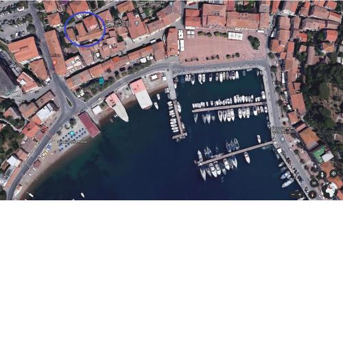 La Tartaruga Marina