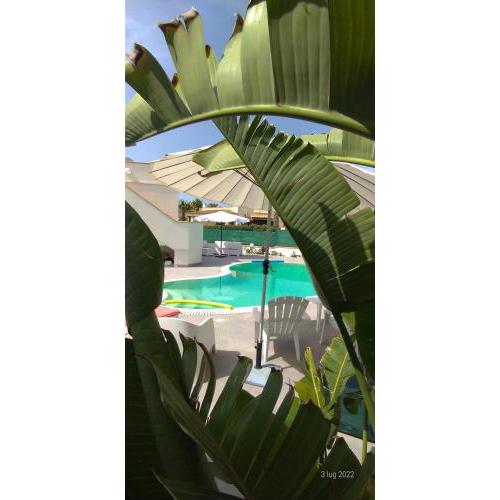 LA TERRAZZA SUL MARE con NUOVISSIMA PISCINA PRIVATA