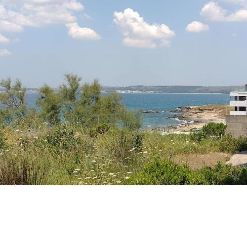 La terrazza sul mare