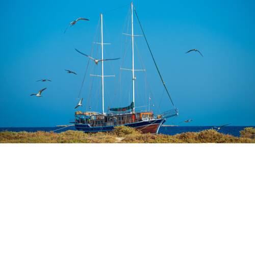 La Vela