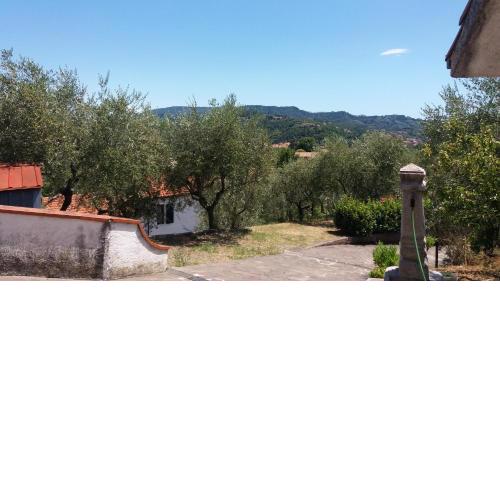 La Vignara