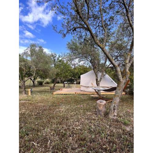 La ViTa in land - between olives and almonds