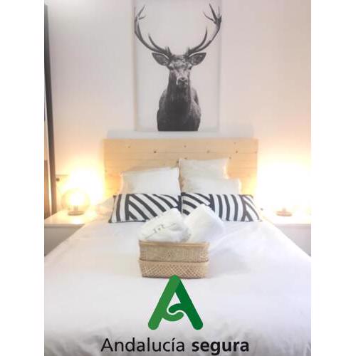 La Vivienda Senorial Centro Cordoba