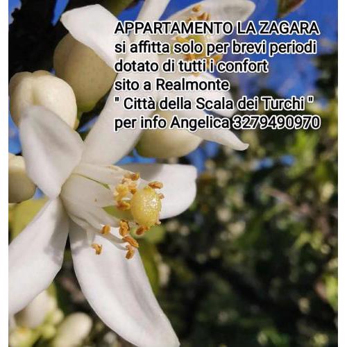 la zagara