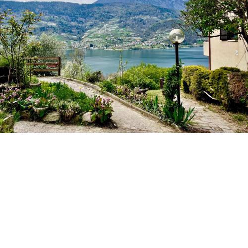 Lake Apartment Ischia