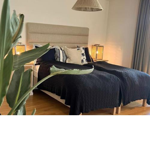 Lake Constance Apartment