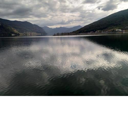 Lake View Terrace