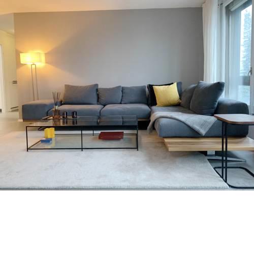 Lakeside Apartment Zurich (2.5BR)