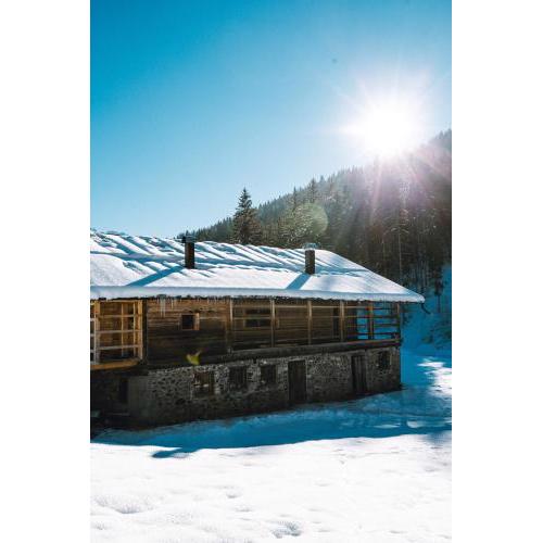 Lärchenwirt Dolomites
