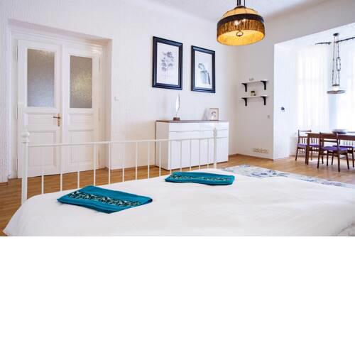 LARGE 3 BDR APT IN THE HEART OF PRAGUE