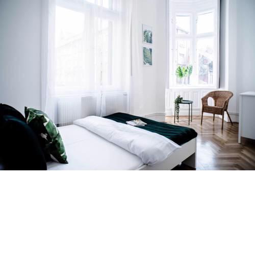 Large, new apartment in the center with 4 bedrooms