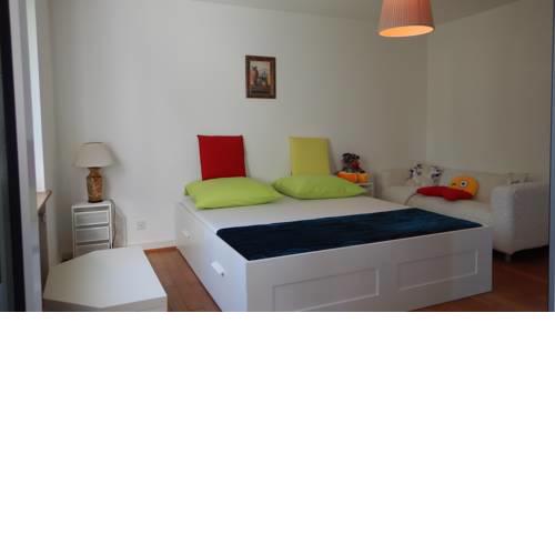 Large Spacious Room in a beautiful Apartment