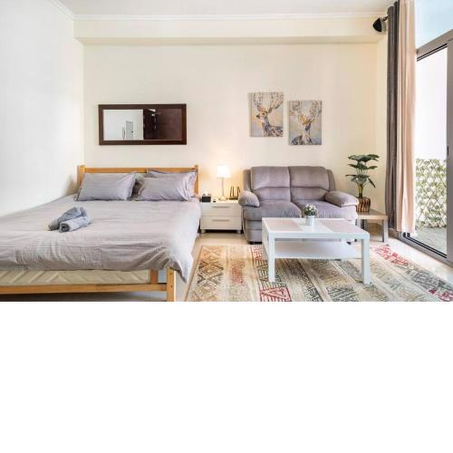 Large studio in Dubai Marina