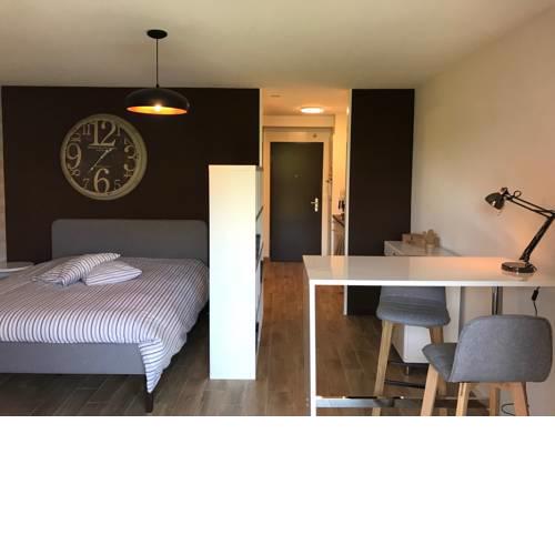 Large Studio Near Epfl And Lausanne City Center