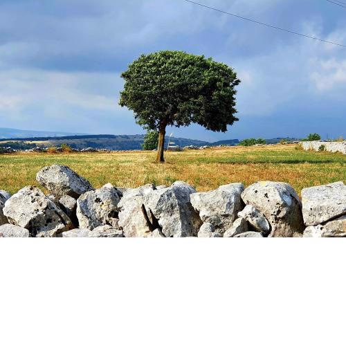 L'aria ro munti