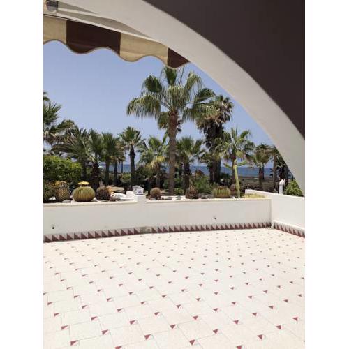 Las americas 4